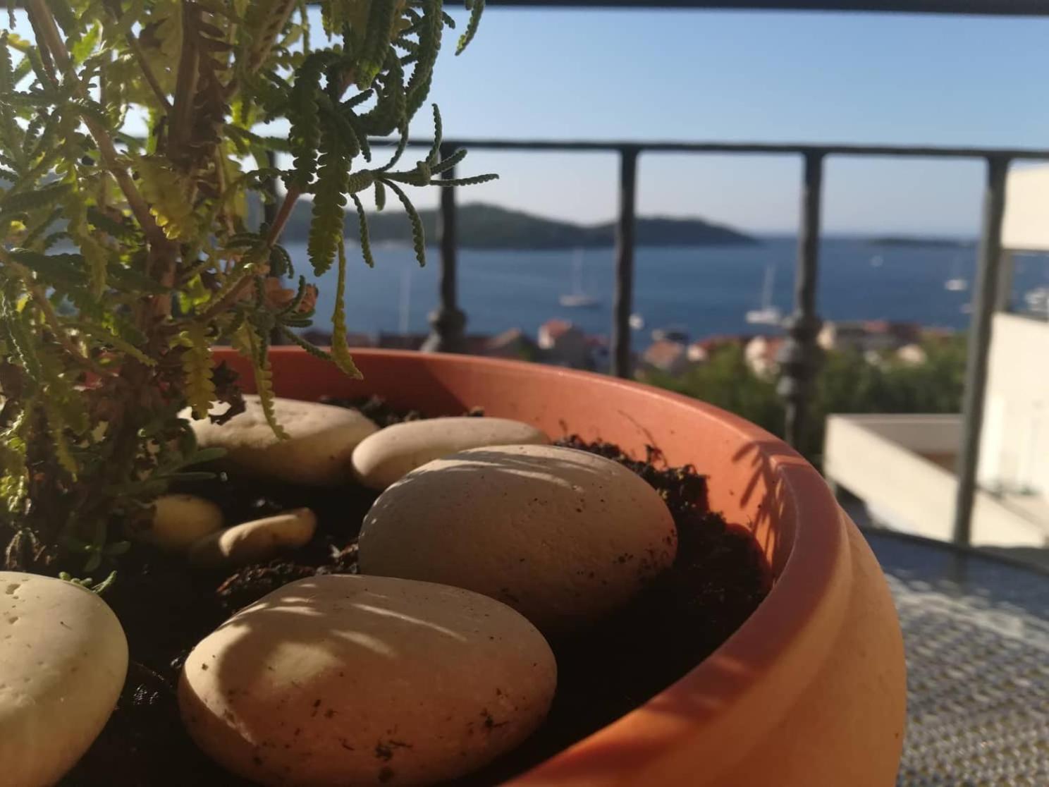 A Lovely And Cozy Room With A Breathtaking View Vis Exteriör bild